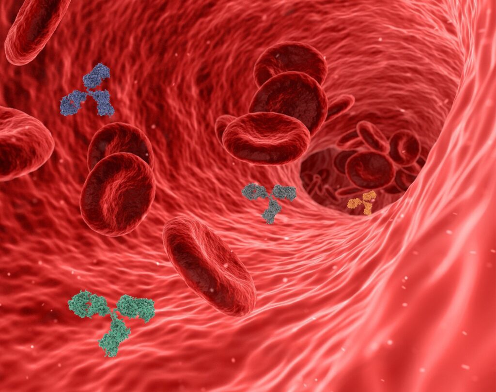 cholesterol benefits